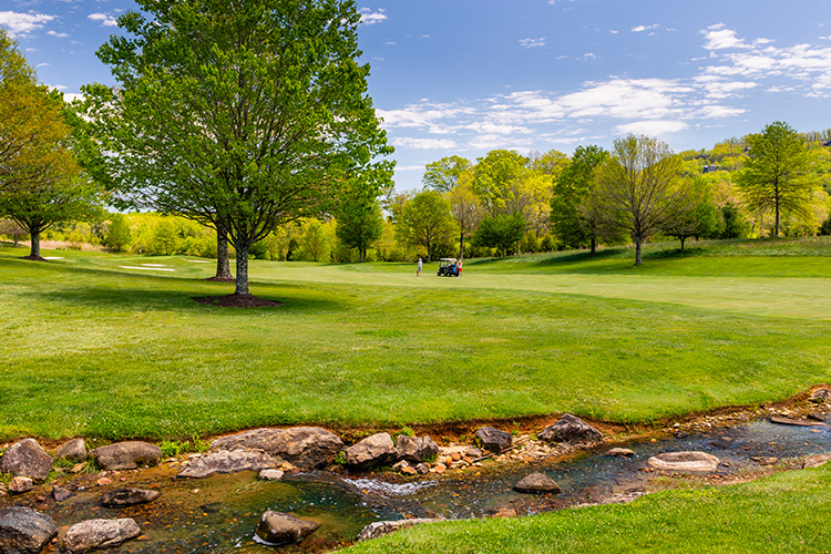 OBrien_200502_0613resized