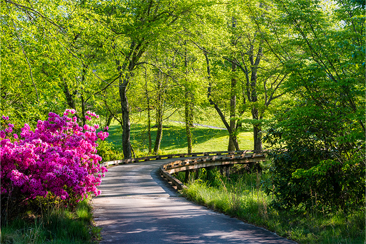 OBrien_200503_1072resized