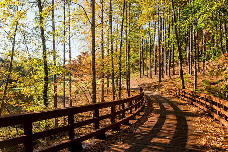 OBrien_221018_7248 (1)