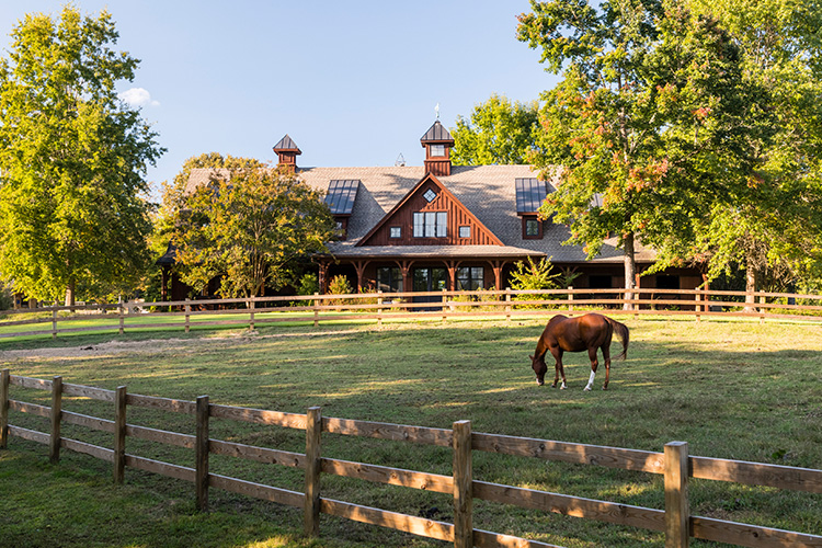 OBrien_201005_3418-vineyards