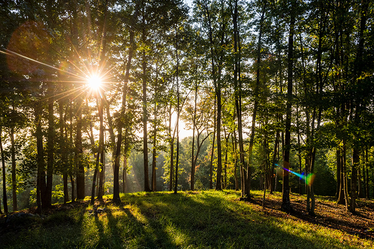 OBrien_210928_7622-walnutcove